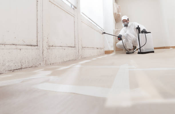 24/7 Emergency Black Mold Remediation experts in Waban, MA